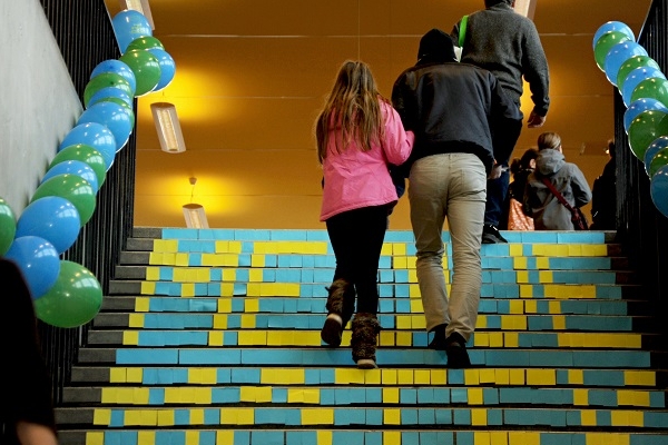 Medve Matek Élménynap 2016