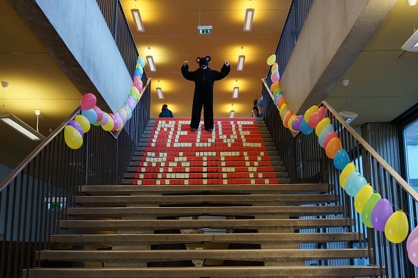 Medve Matek Élménynap 2017