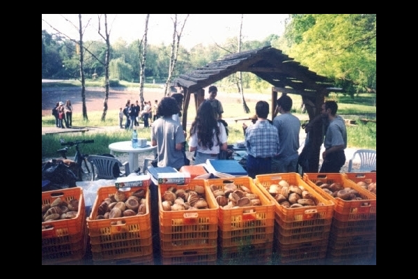 Medve Szabadtéri Matekverseny 2002 - Debrecen