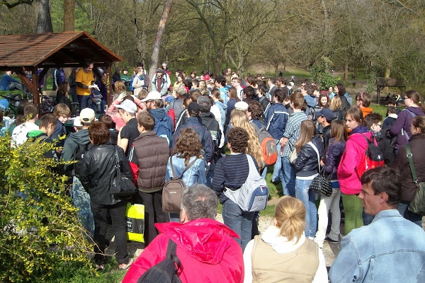 Medve Szabadtéri Matekverseny 2011 - Debrecen