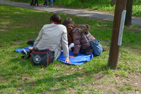 Medve Szabadtéri Matekverseny 2012 - Debrecen