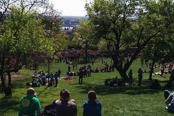 Medve Szabadtéri Matekverseny 2016 - Budapest, Gellért-hegy