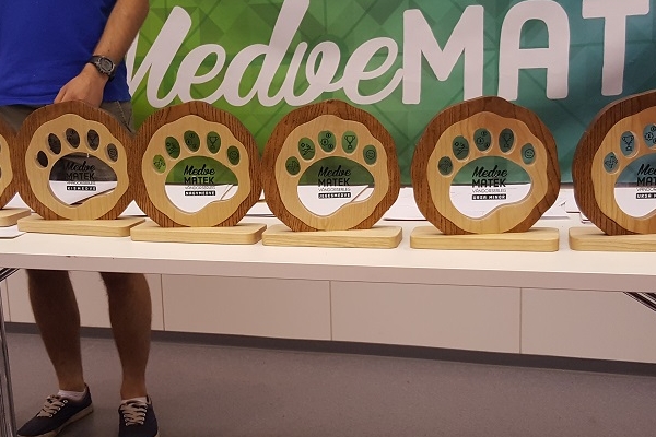 Medve Szabadtéri Matekverseny 2017 - Döntő