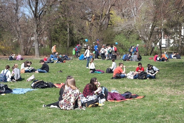 Medve Szabadtéri Matekverseny 2017 - Szeged