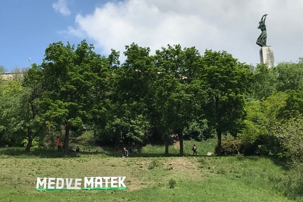 Medve Szabadtéri Matekverseny 2019 - Budapest, Gellért-hegy