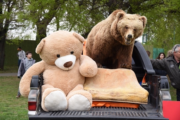 Medve Szabadtéri Matekverseny 2019 - Budapest, Városliget